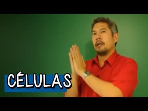 Thumbnail da aula: Células: Membrana -  Resumo para o ENEM: Biologia | Descomplica