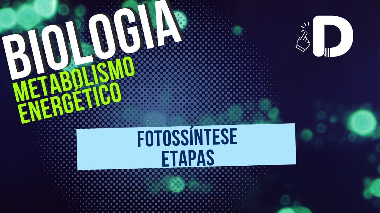 Thumbnail: Etapas da Fotossíntese  - Metabolismo Energético - Biologia - Preparatório Enem