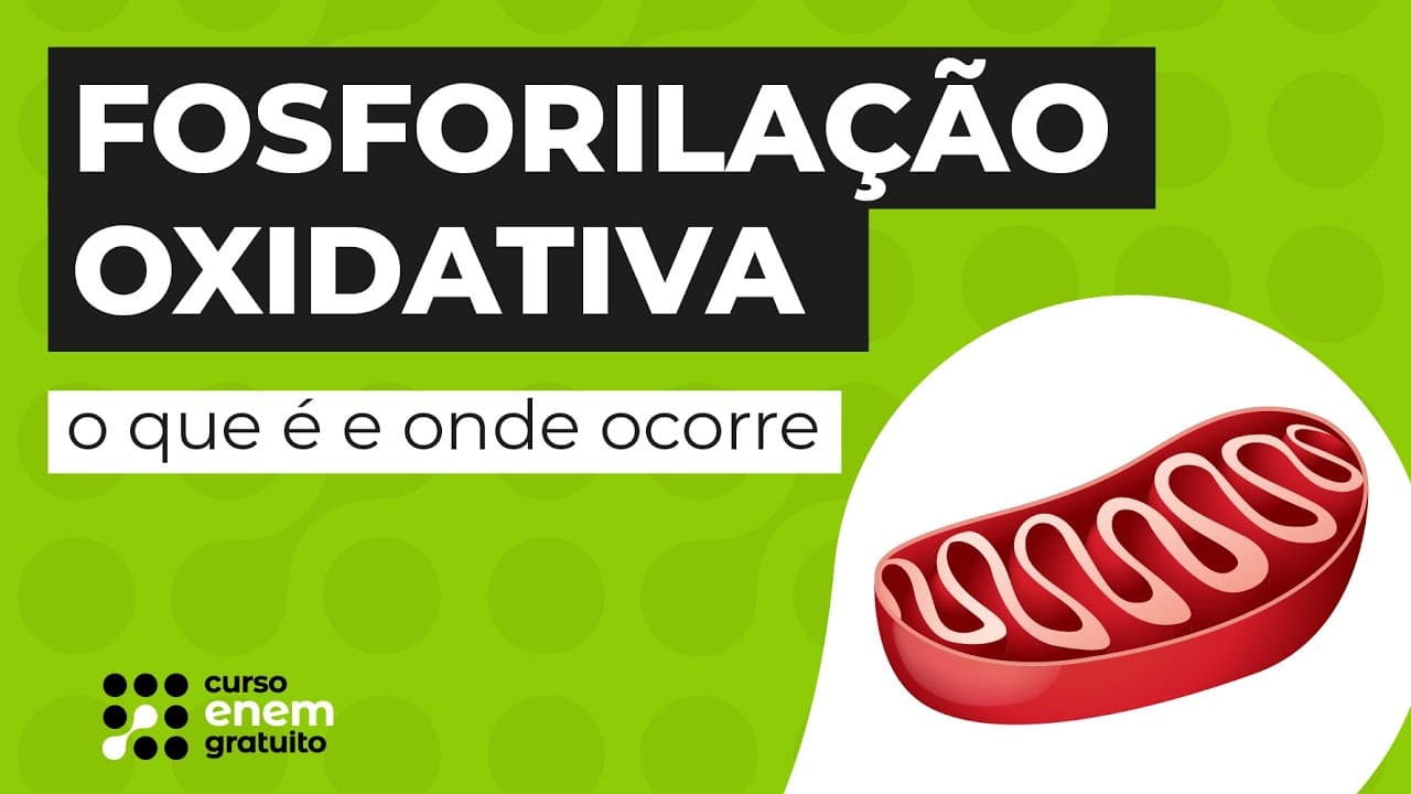 Thumbnail: FOSFORILAÇÃO OXIDATIVA: o que é e onde ocorre | Biologia para o Enem | Cláudia de Souza Aguiar