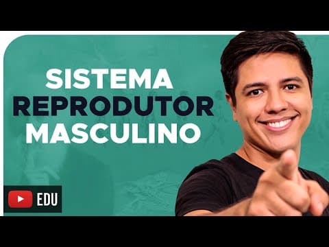 Thumbnail da aula: SISTEMA REPRODUTOR MASCULINO - REPRODUÇÃO HUMANA - Prof. Kennedy Ramos