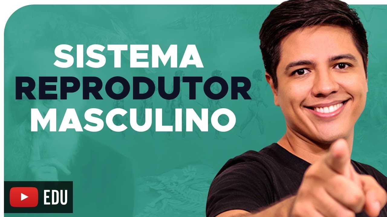 Thumbnail: SISTEMA REPRODUTOR MASCULINO - REPRODUÇÃO HUMANA - Prof. Kennedy Ramos