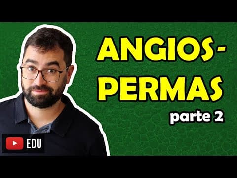 Thumbnail da aula: Angiospermas: Parte 2 - Aula 06 - Módulo V: Botânica | Prof. Guilherme