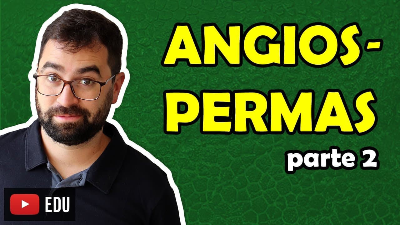 Thumbnail: Angiospermas: Parte 2 - Aula 06 - Módulo V: Botânica | Prof. Guilherme