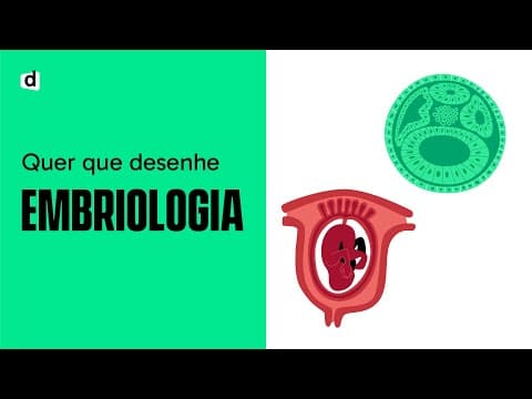 Thumbnail da aula: EMBRIOLOGIA | Quer que desenhe | Mapa Mental