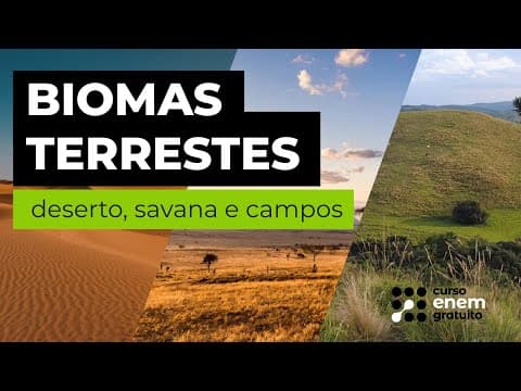 Thumbnail da aula: BIOMAS TERRESTES: deserto, savana e campos | Biologia para o Enem | Cláudia de Souza Aguiar