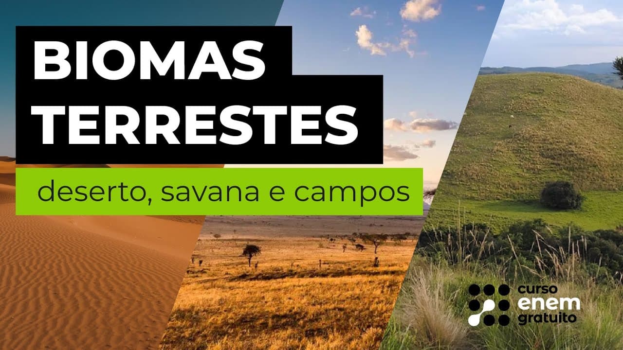 Thumbnail: BIOMAS TERRESTES: deserto, savana e campos | Biologia para o Enem | Cláudia de Souza Aguiar