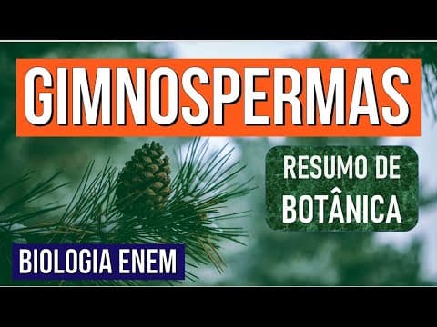 Thumbnail da aula: GIMNOSPERMAS: veja o que são e as características no Reino das Plantas | RESUMO DE BIOLOGIA ENEM
