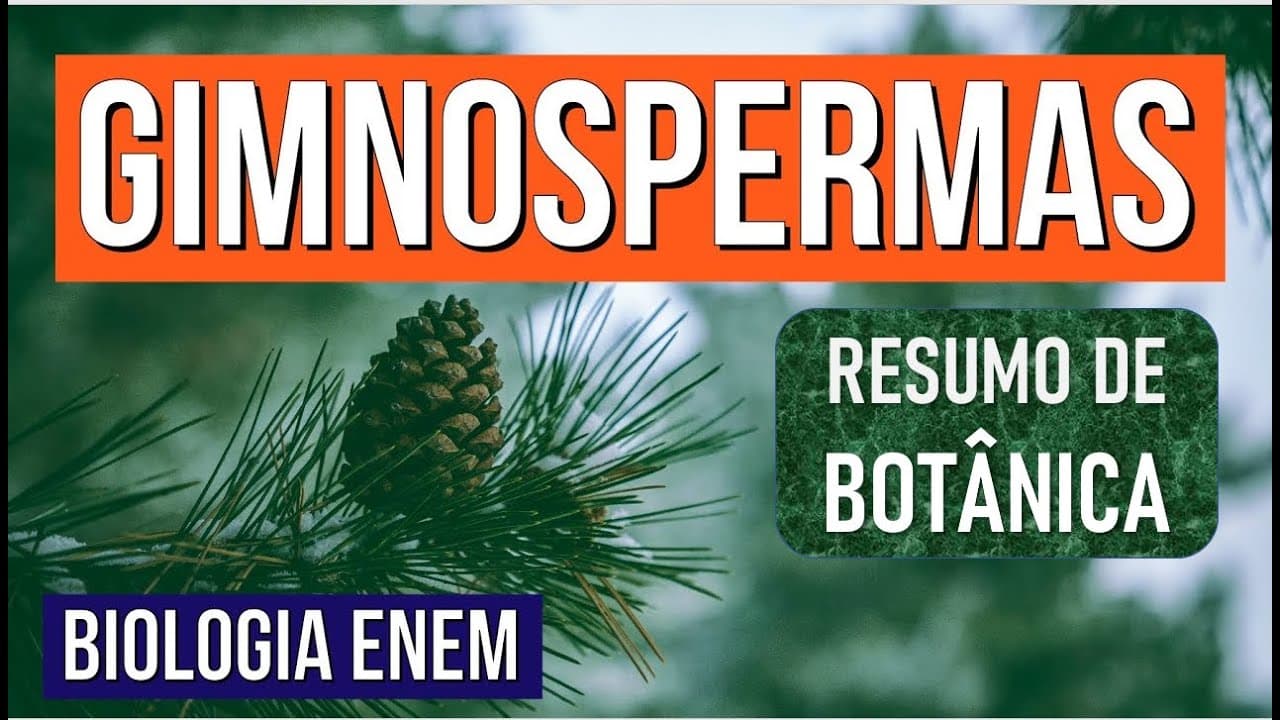 Thumbnail: GIMNOSPERMAS: veja o que são e as características no Reino das Plantas | RESUMO DE BIOLOGIA ENEM