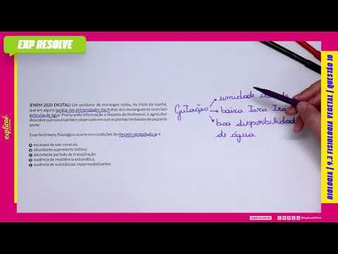 Thumbnail da aula: UM PRODUTOR DE MORANGOS NOTOU, NO INÍCIO DA MANHÃ, QUE EM ALGUNS PONTOS (...) | FISIOLOGIA VEGETAL