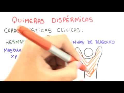 Thumbnail da aula: Me Salva! Ciências da Saúde - IGN07 - Quimerismo e Mosaicismo