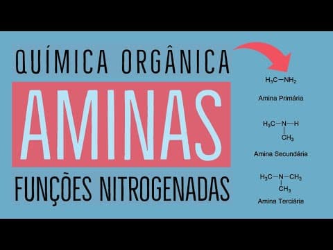 Thumbnail da aula: AMINAS: Características e Nomenclatura | Aula 21