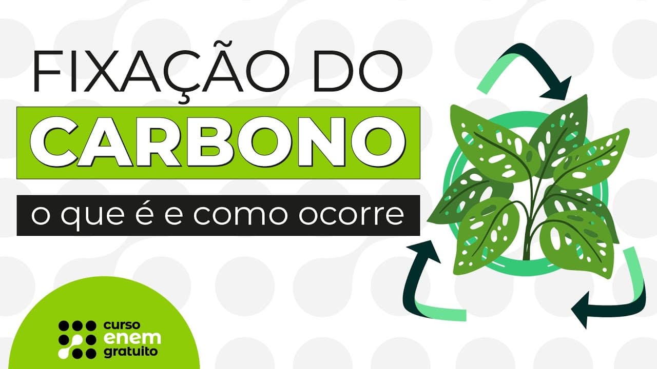 Thumbnail: FIXAÇÃO DO CARBONO: o que é e como ocorre | Biologia para o Enem | Cláudia Aguiar