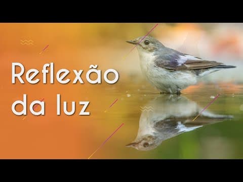 Thumbnail da aula: Reflexão da luz - Brasil Escola