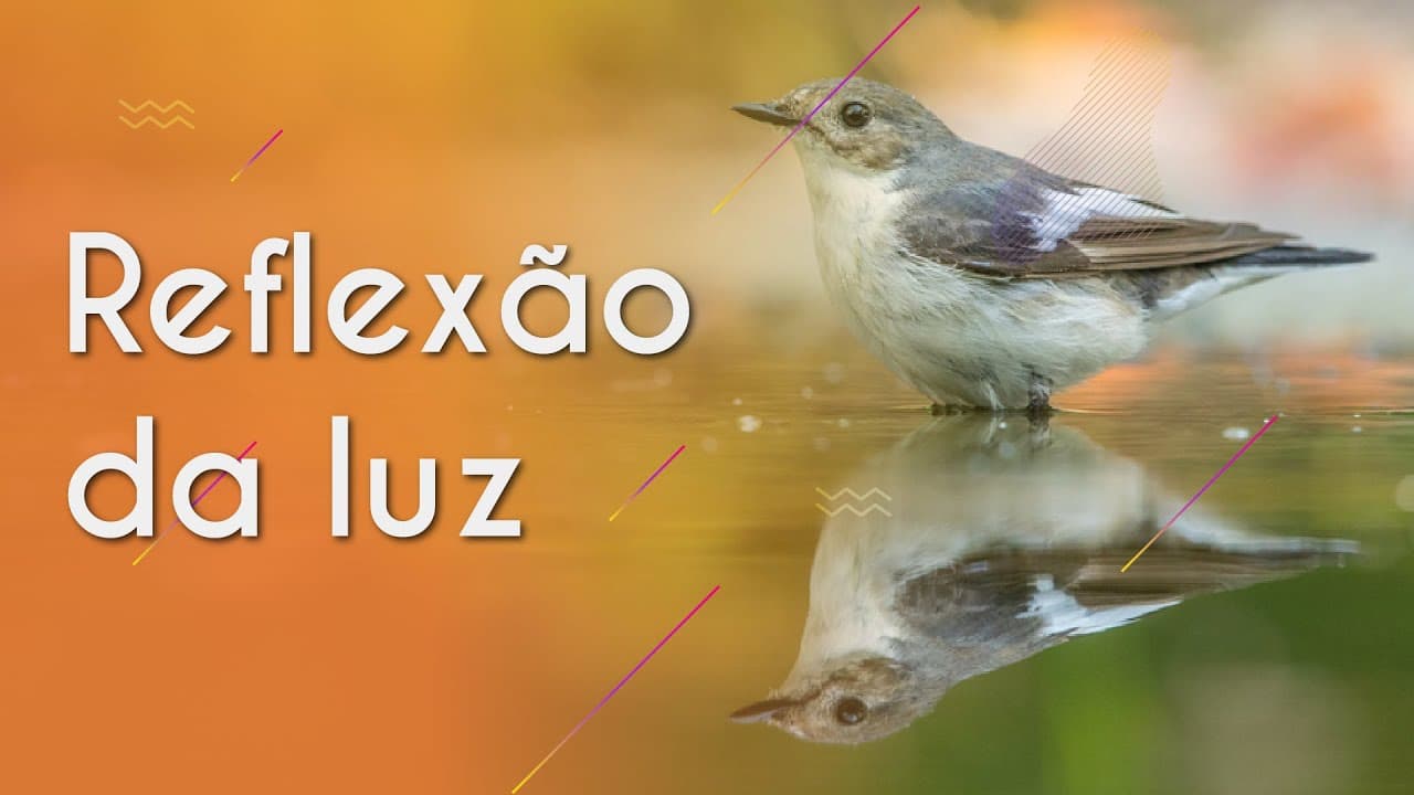 Thumbnail: Reflexão da luz - Brasil Escola