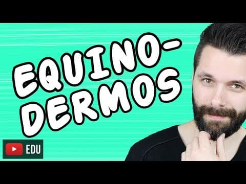 Thumbnail da aula: EQUINODERMOS - REINO ANIMALIA - ZOOLOGIA | Biologia com Samuel Cunha