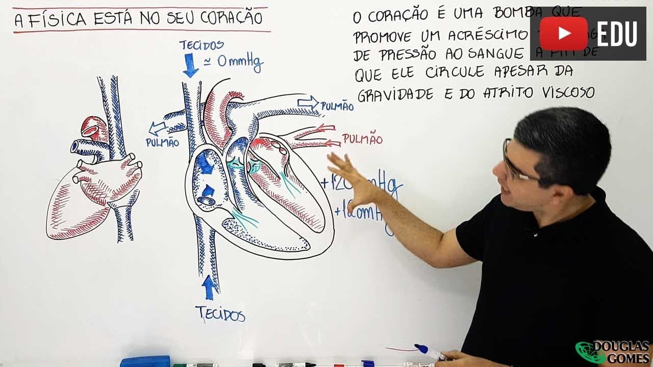 Thumbnail: A Física está no seu coração e na circulação!