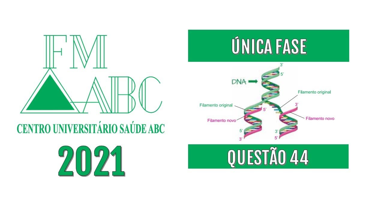 Thumbnail: (FMABC-2021)A figura ilustra, de maneira simplificada, o processo de duplicação da molécula de DNA..