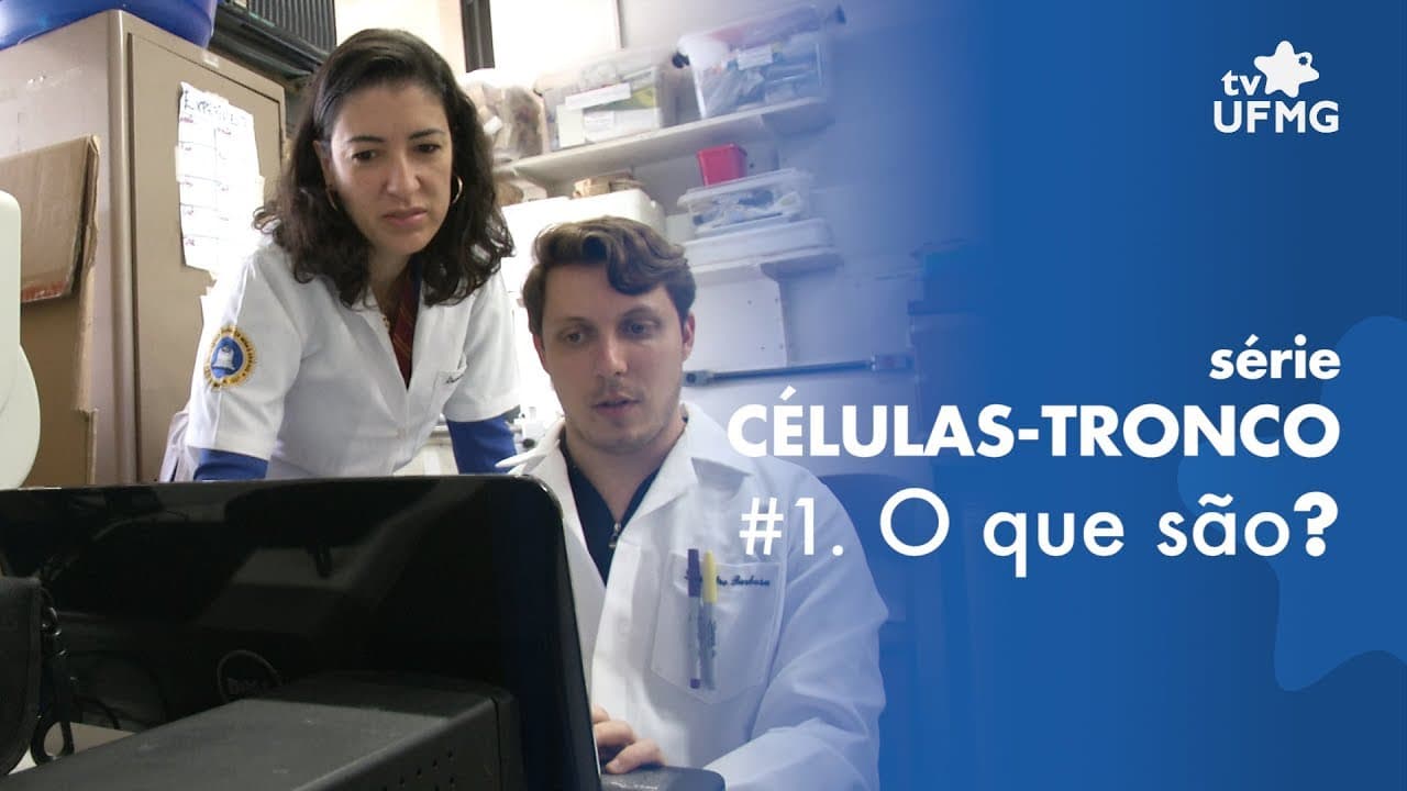 Thumbnail: Células-tronco - Laboratório de Angiogênese da UFMG