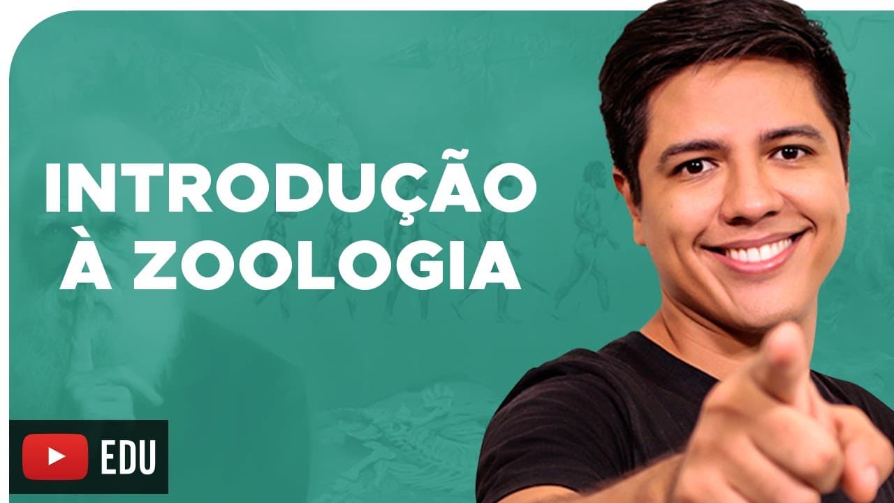 Thumbnail: ZOOLOGIA - CONCEITOS BÁSICOS - Reino Animalia - Prof. Kennedy Ramos