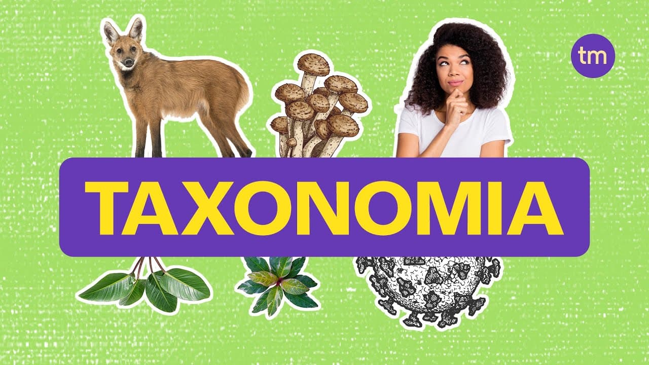 Thumbnail: Taxonomia | Como classificar os seres vivos