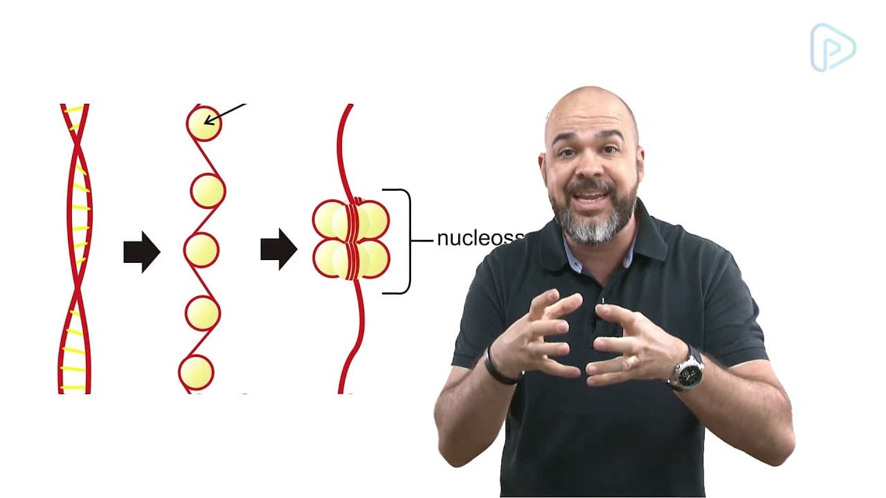 Thumbnail: Nucleo Celular - Morfologia - Biologia - prof. Nelson