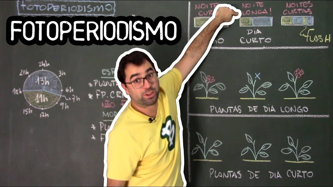 Thumbnail: Fotoperiodismo - Fisiologia Vegetal - Aula 33: Botânica (Prof. Guilherme)