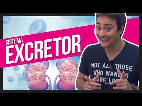 Thumbnail da aula: Sistema Excretor | Prof. Paulo Jubilut
