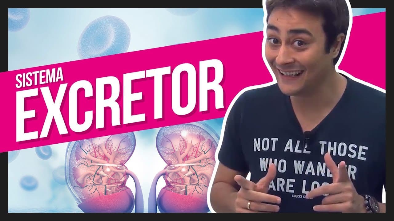 Thumbnail: Sistema Excretor | Prof. Paulo Jubilut
