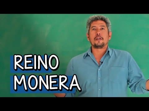 Thumbnail da aula: Características do Reino Monera - Extensivo Biologia | Descomplica