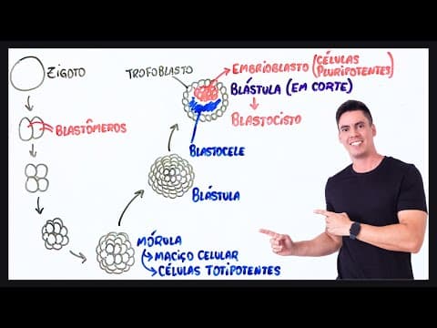 Thumbnail da aula: Resumo Segmentação ou Clivagem - Embriologia