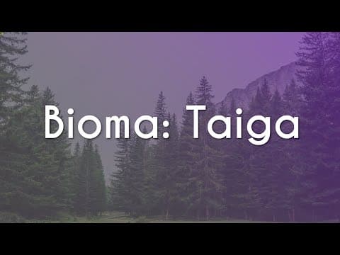 Thumbnail da aula: Bioma: Taiga - Brasil Escola