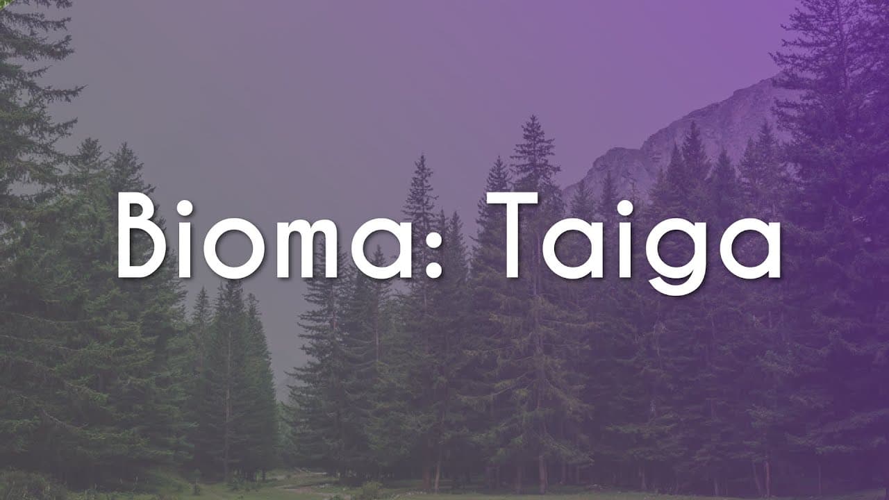 Thumbnail: Bioma: Taiga - Brasil Escola