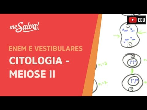 Thumbnail da aula: Me Salva! CIT29 - Citologia - Meiose II