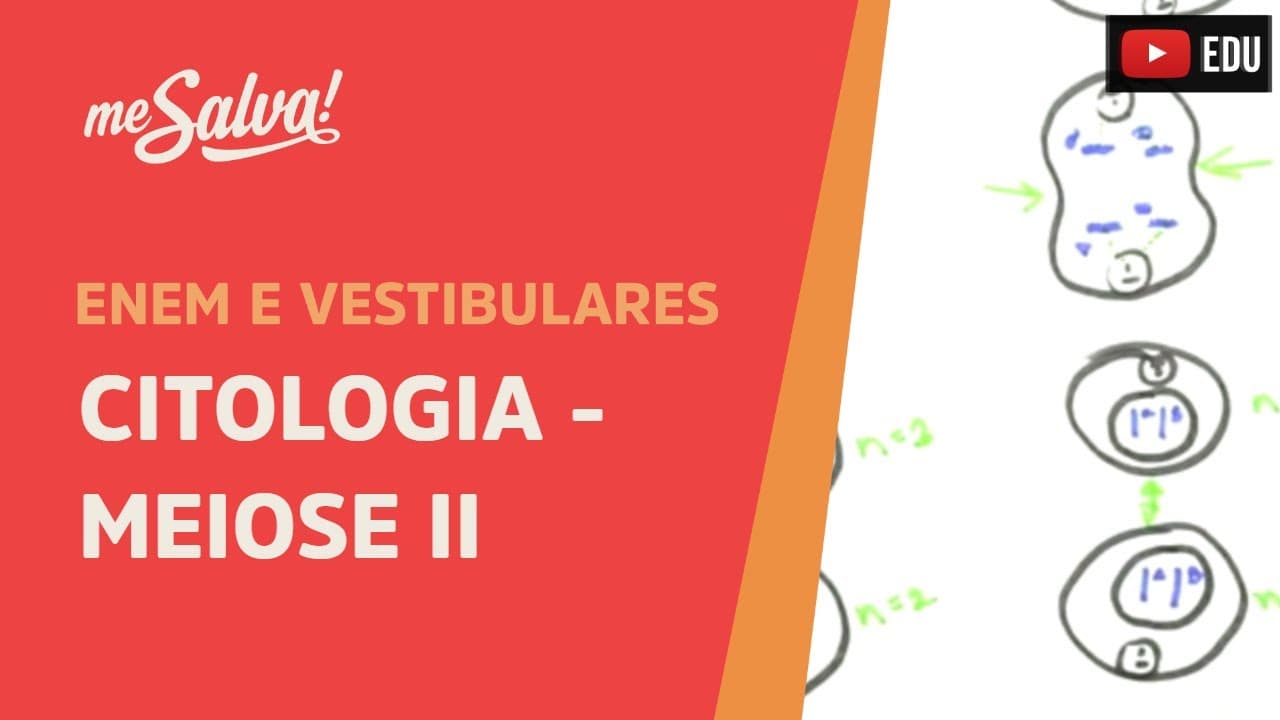 Thumbnail: Me Salva! CIT29 - Citologia - Meiose II