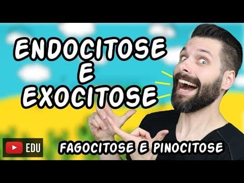 Thumbnail da aula: Endocitose (Fagocitose e Pinocitose) e Exocitose - Transporte por Vesículas | Biologia