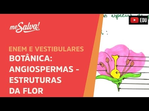 Thumbnail da aula: Me Salva! BOT09 - Botânica - Angiospermas: Estruturas da Flor