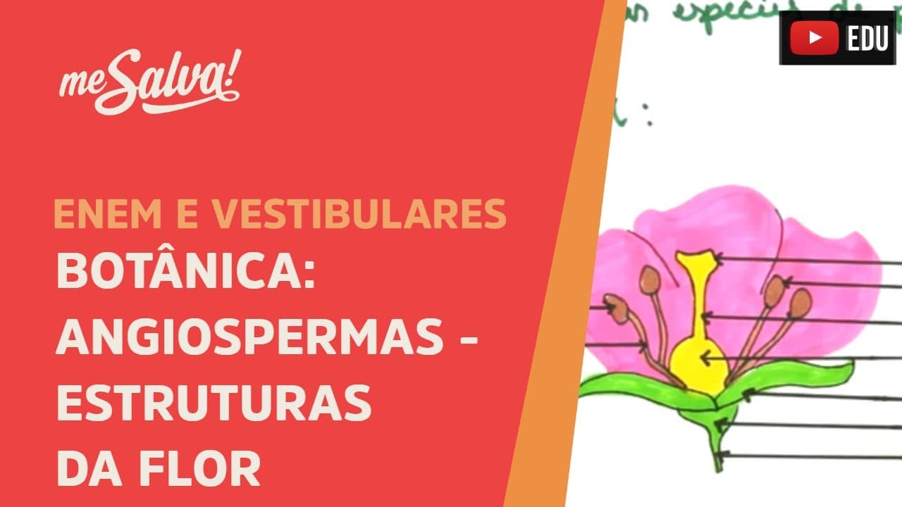 Thumbnail: Me Salva! BOT09 - Botânica - Angiospermas: Estruturas da Flor