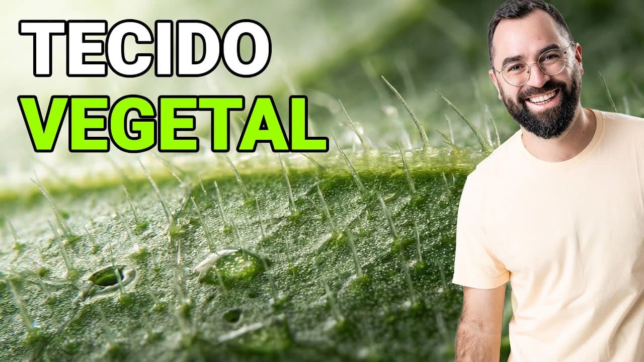 Thumbnail: Tecidos de revestimento - Aula 11: Botânica | Prof. Guilherme