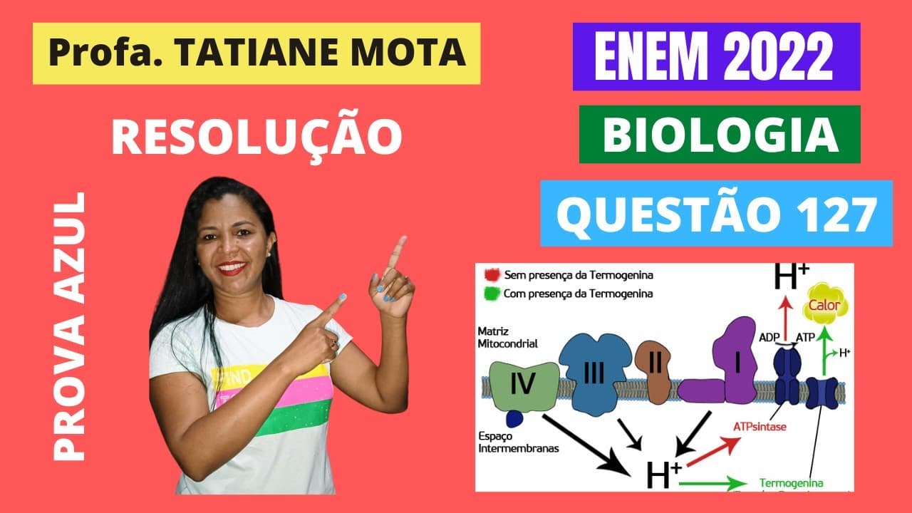 Thumbnail: ✅[ENEM 2022] # BIOLOGIA # QUESTÃO 127 – RESPIRAÇÃO AERÓBICA: TERMOGENINA - Os ursos, por não