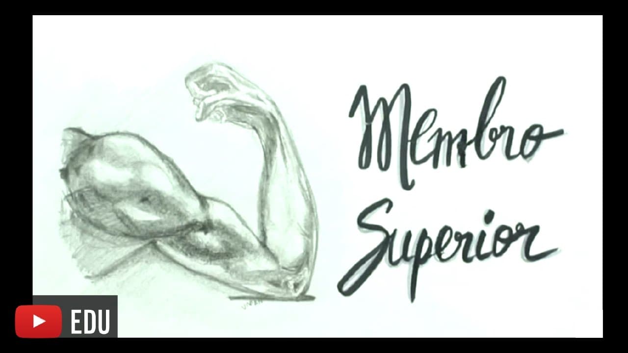 Thumbnail: Me Salva! Ciências da Saúde - SMES01 - Introdução ao Membro Superior