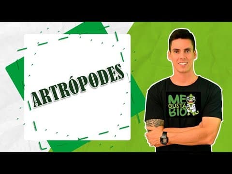 Thumbnail da aula: ARTRÓPODES - PROFESSOR GUSTAVO