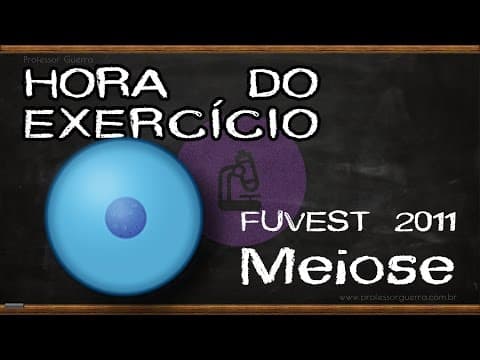 Thumbnail da aula: Meiose - FUVEST 2011