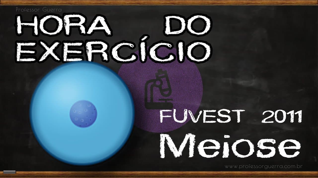 Thumbnail: Meiose - FUVEST 2011