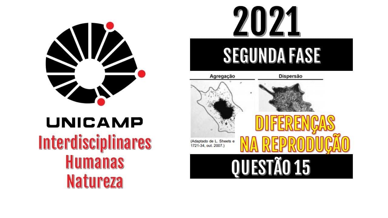 Thumbnail: 2ª FASE (UNICAMP 2021) A capacidade de mudança de cor existe em algumas espécies de peixes