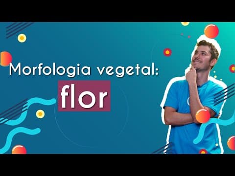 Thumbnail da aula: Morfologia vegetal: flor - Brasil Escola
