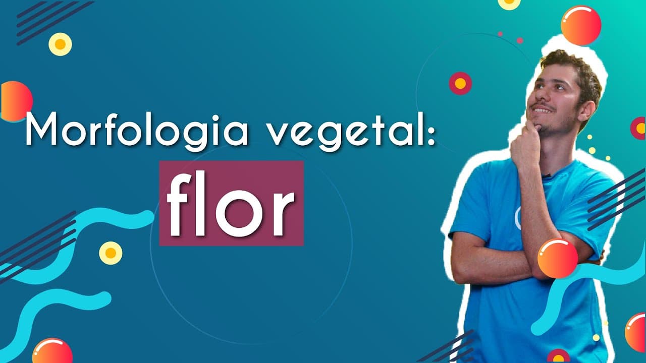 Thumbnail: Morfologia vegetal: flor - Brasil Escola