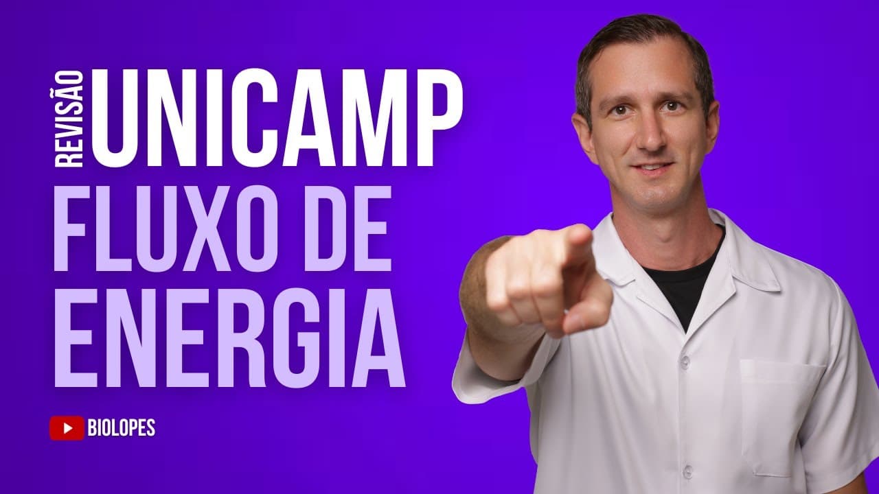Thumbnail: UNICAMP 2023 - As relações ecológicas podem ser representadas por modelos de fluxo de energia