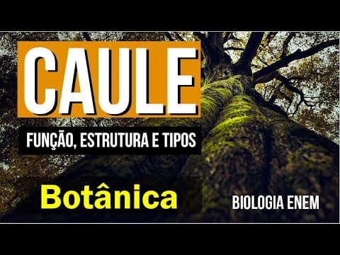 Thumbnail da aula: CAULE: função, estrutura e tipos | RESUMO DE BOTÂNICA - BIOLOGIA PARA O ENEM. Profa Claudia Aguiar