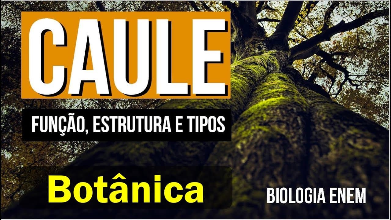 Thumbnail: CAULE: função, estrutura e tipos | RESUMO DE BOTÂNICA - BIOLOGIA PARA O ENEM. Profa Claudia Aguiar
