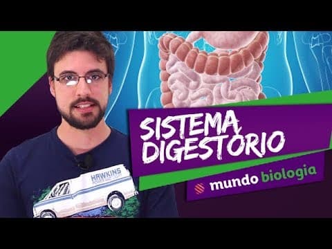 Thumbnail da aula: 👩‍⚕️ Fisiologia (5/8): Sistema Digestório - Biologia - ENEM